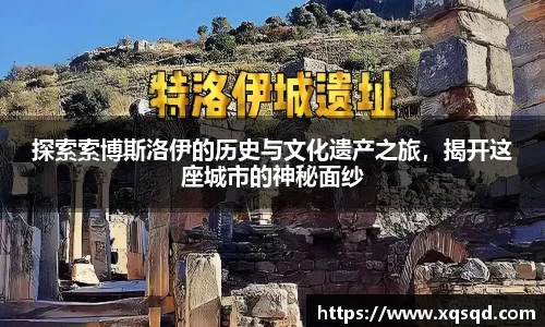 探索索博斯洛伊的历史与文化遗产之旅，揭开这座城市的神秘面纱
